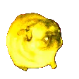 drugpug
